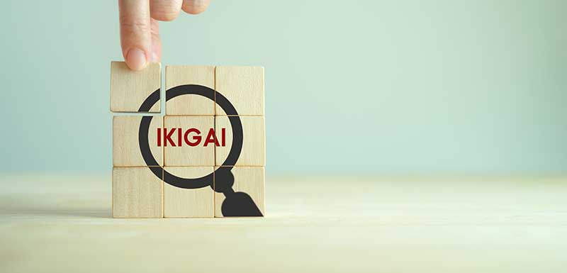 Filary IKIGAI